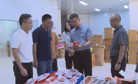 縣長調研電商及口岸經濟工作，聚焦海淘物流發(fā)展新路徑
