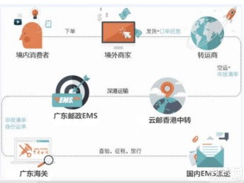 圖說海淘 個人包裹直郵進口清關代理、行郵清關與深圳物流服務全解析，助您找到便宜高效的海淘物流方案